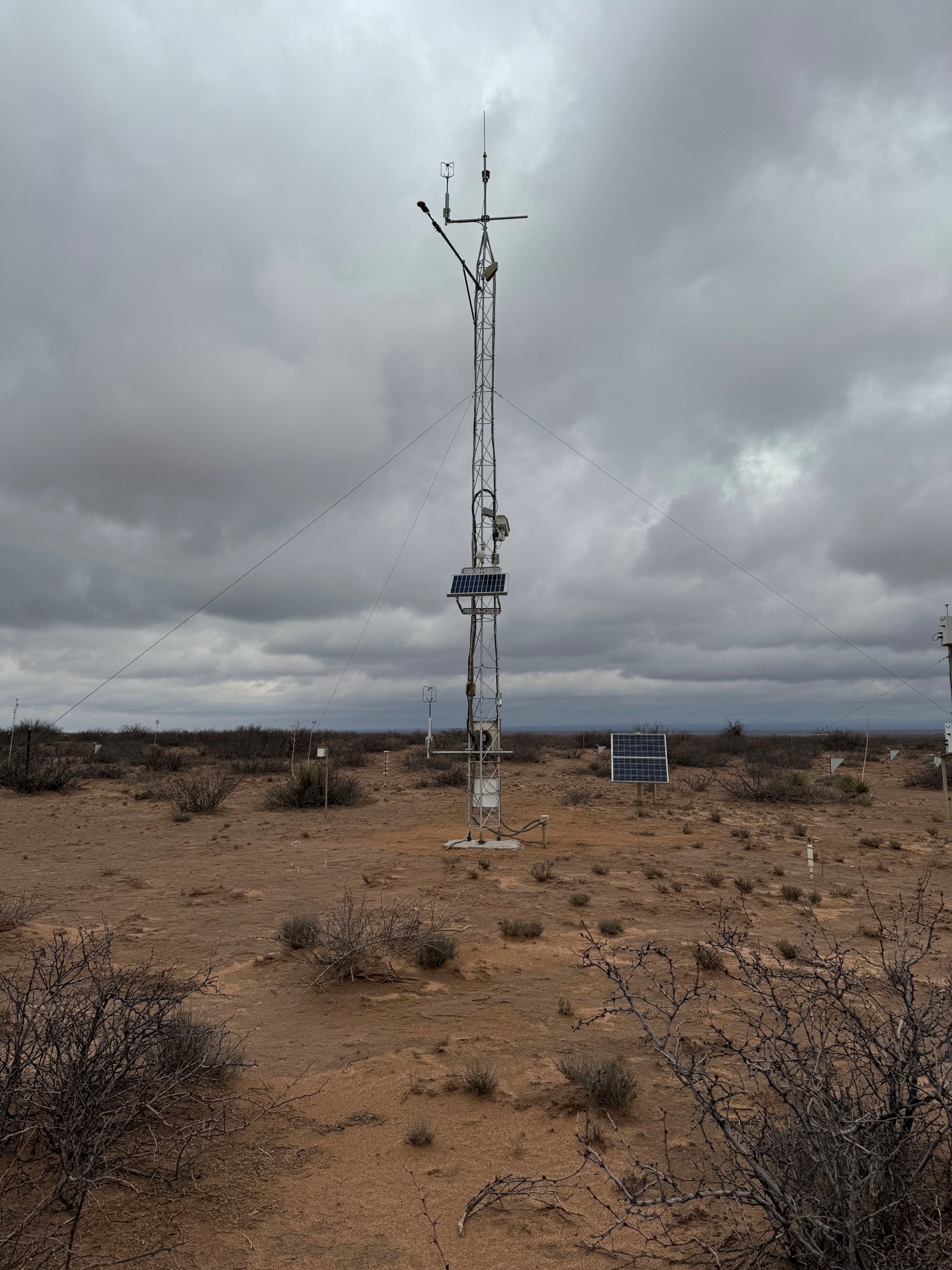 Photo of the Jornada Experimental Range (LTAR) Network site showing meteorological tower Photo of the Jornada Experimental Range (LTAR) Network site showing meteorological tower