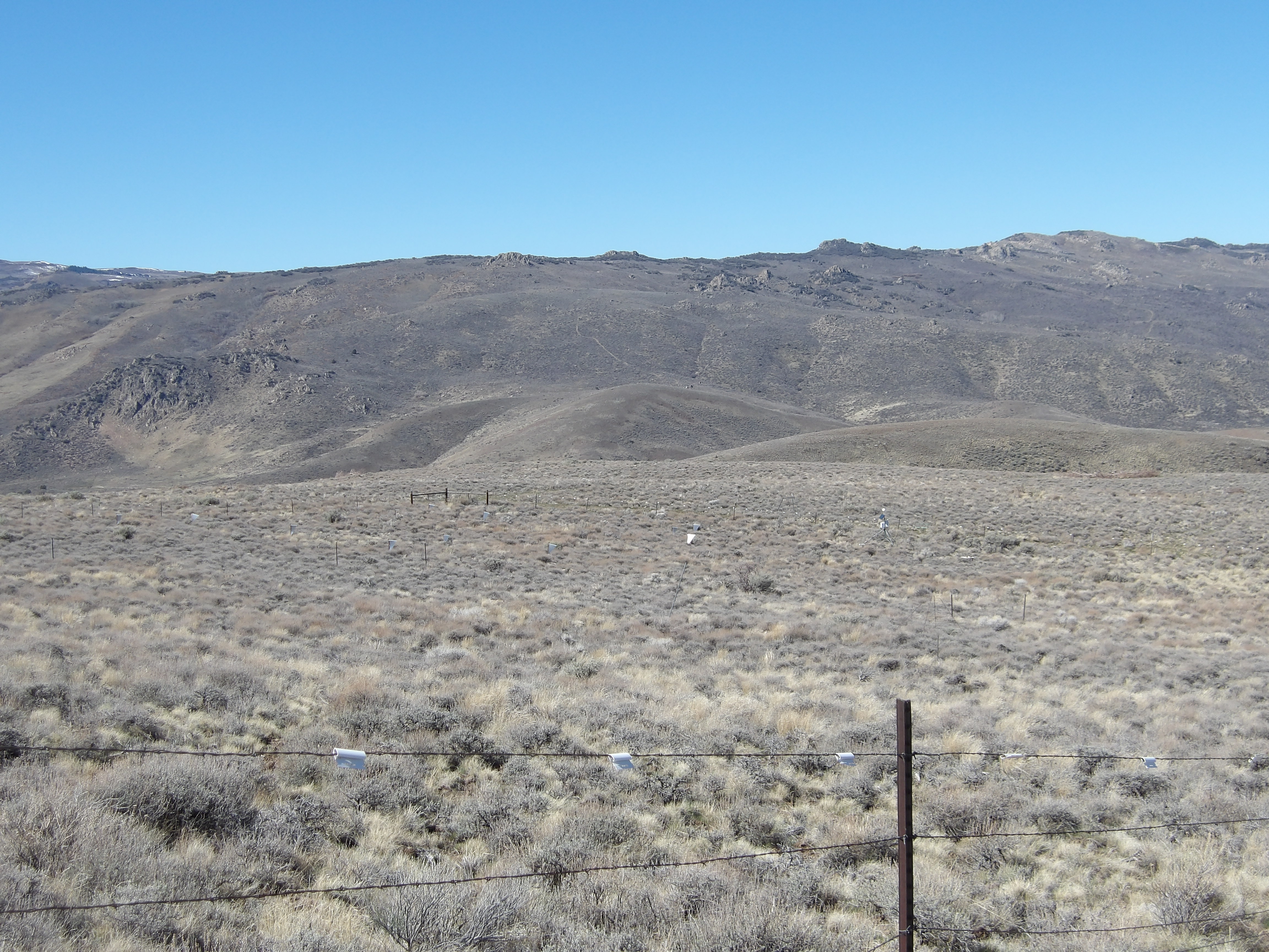 Photo of the Lower Sheep (ARS) Network site.