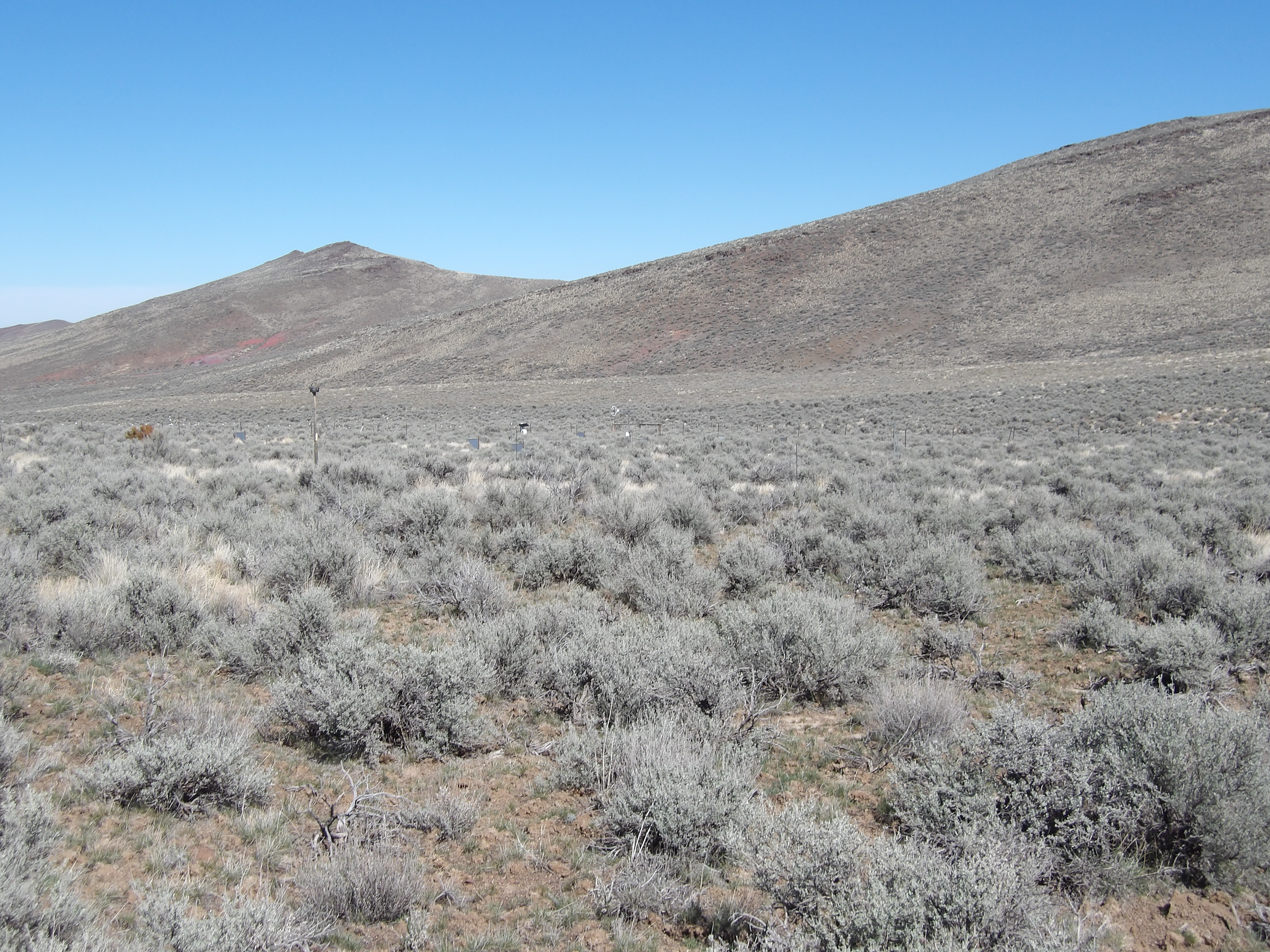 Photo of the Nancy Gulch (ARS) Network site.